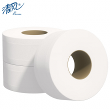 清风大卷纸有芯2层240米*12卷商用大盘纸酒店用厕纸卫生纸 BJ02AB新