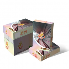 未来鸟 多功能静电复印纸80gA4 500张/包 5包/箱