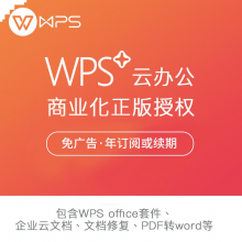 WPS金山WPS+商业版 Office2016 符合企业正版化支持winMac系统 OCR PDF 