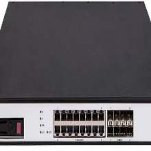 新华三 NS-SecPath F1020  