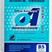 Office Assistant(OA) B5 80g/m2 (B5 80g/m2)