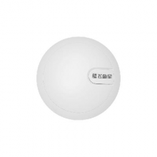 飞鱼星    AP307-CH