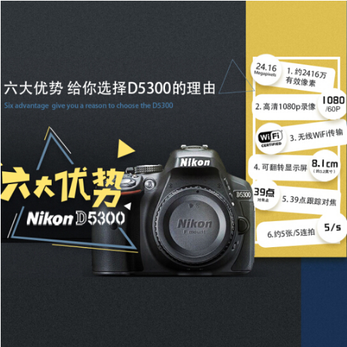 尼康（Nikon）D5300单反相机入门级 尼康d5300/d3500 搭配 d5300 18-55