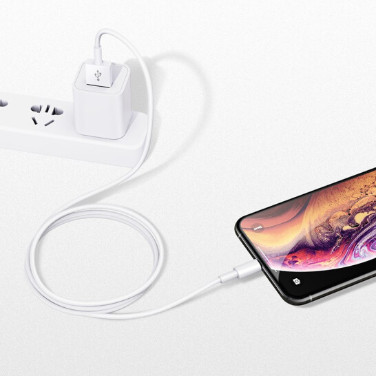 苹果充电器手机数据线插头套装快充电线iphonexs/XR/x/8/6s/7plus 充电头+lig
