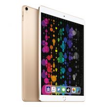 Apple iPad Pro 平板电脑 10.5 英寸（256G WLAN版/A10X芯片/Reti