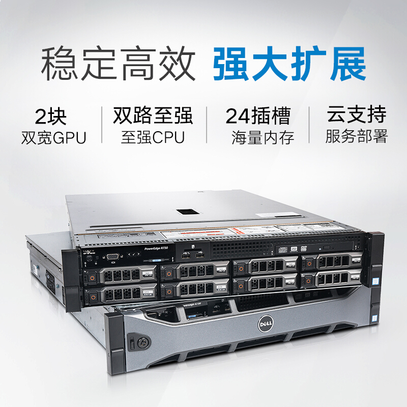 戴尔（DELL） R730服务器主机机架式双路至强ERP文件共享存储可升级R740服务器 