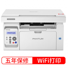 奔图（PANTUM）M6202NW 微信分享/五年保修 黑白激光无线网络WiFi家用作业多功能一体机（打印 复印 扫描）