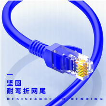 山泽(SAMZHE)超五类网线 CAT5e类高速百兆网线 10米 工程/宽带电脑家用连接跳线 成品网线 蓝色 SZW-1100