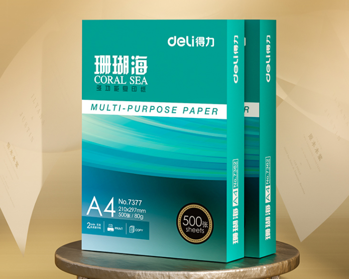得力（deli）珊瑚海 A4 80g 加厚双面打印纸 行业热销复印纸 500张/包 5包1箱（整箱2500张）