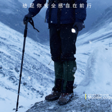 神火（supfire）户外登山杖铝合金T型柄4节超轻拐杖徒步健走爬山户外拐杖手杖