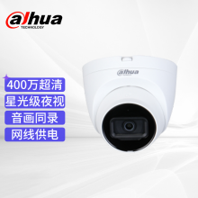 大华dahua监控摄像头 400万星光级可录音 高清夜视 手机远程 监控器室内半球 红外 DH-IPC-HDW2433T