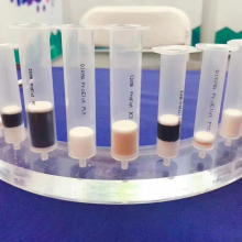 Dikma   C18小柱 固相萃取柱  1g，6ml