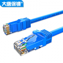 大唐保镖 六类千兆 网络跳线 双绞网线 Cat6 5米 DT2808-605