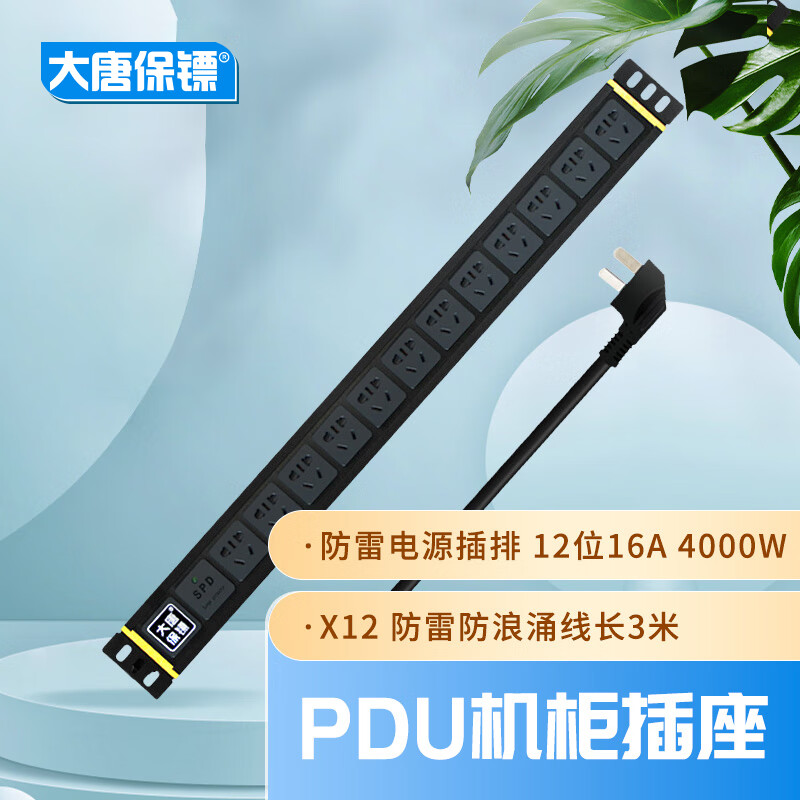 大唐保镖 pdu机柜插座 防雷12位16a电源插排 HP7606