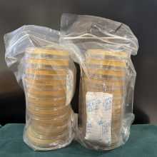 环凯微生物 结晶紫中性红胆盐葡萄糖琼脂（VRBGA）