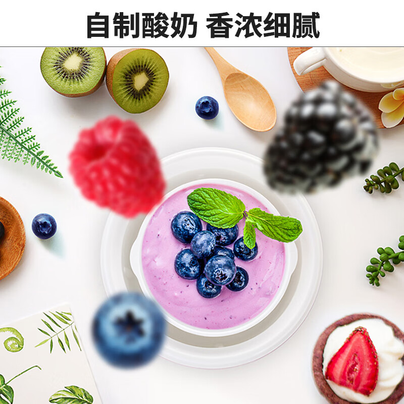 九阳（Joyoung）家用全自动小型酸奶机精准控温 SN－10J91