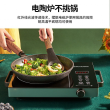 BACHJOHANN 德国巴赫DTL01电陶炉家用爆炒电磁炉锅多功能一体大功率节能 绿色