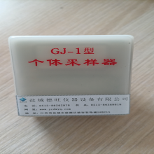 德旺仪器 无泵型采样器 