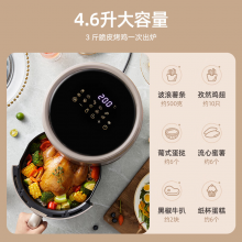 小熊（Bear） 空气炸锅 家用多功能4.6L大容量大功率无油烟微电脑触控微蒸汽嫩薯条电炸锅 QZG-B14P1 高端智能全触屏版