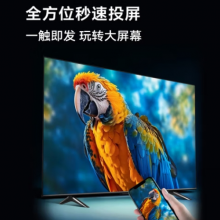康佳电视 65E8A 65英寸 2+32GB 120Hz高刷护眼电视 4K超清全面屏投屏 智能语音液晶平板电视机