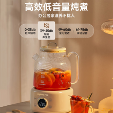 九阳养生壶 全玻璃恒温壶婴儿冲奶 纯玻璃煮茶壶 办公室花茶壶烧水壶炖煮壶一体 迷你养生杯无胶圈 【24H预约】WY101 1L