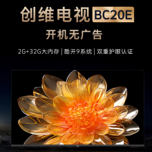 创维（Skyworth）65BC20 65英寸4K超高清 全面屏酒店功能 人工智能家用商用电视 企业采购 65英寸