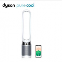 戴森（DYSON）TP04 空气净化循环 兼具空气净化器和循环功能 智能塔式 银白色