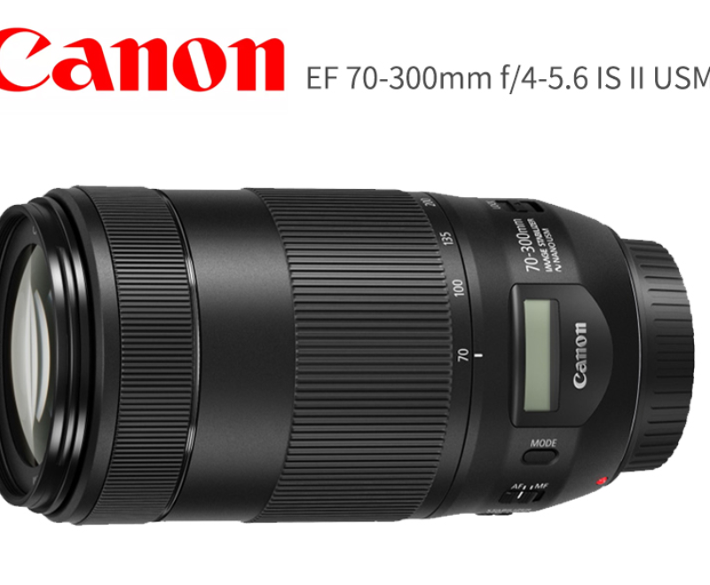 佳能全画幅镜头 70-300 F4-5.6 IS