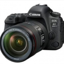 佳能（Canon）EOS 6D Mark II 单反套机(24-105USM)