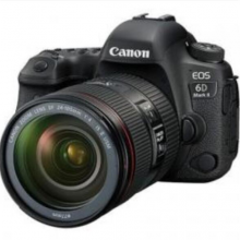 佳能（Canon）EOS 6D Mark II 单反套机  (24-105USM)