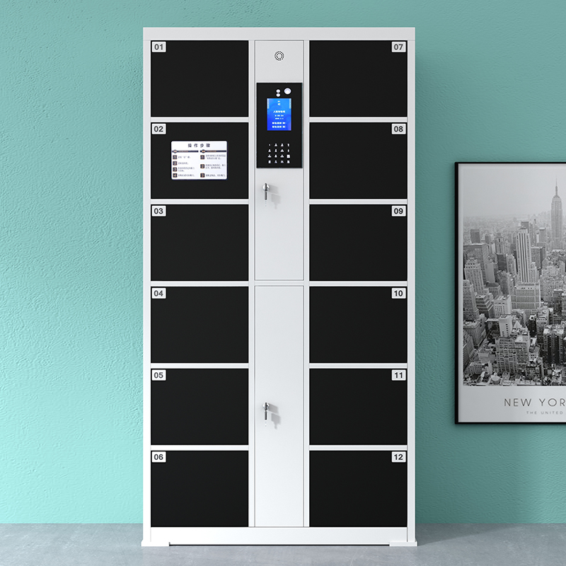 奈高智能寄存柜储物柜人脸识别12门