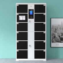 奈高智能寄存柜储物柜人脸识别12门