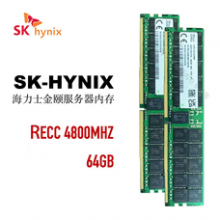 SK HYNIX海力士 DDR5 ECC RDIMM 服务器工作站内存条 适配 Deepseek/AI 部署 64GB DDR5 4800 RECC