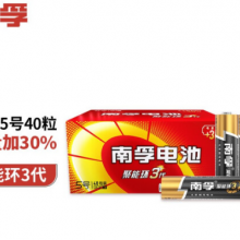 南孚碱性电池五号