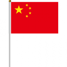 手持小国旗