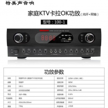 特美特功放机100-1
